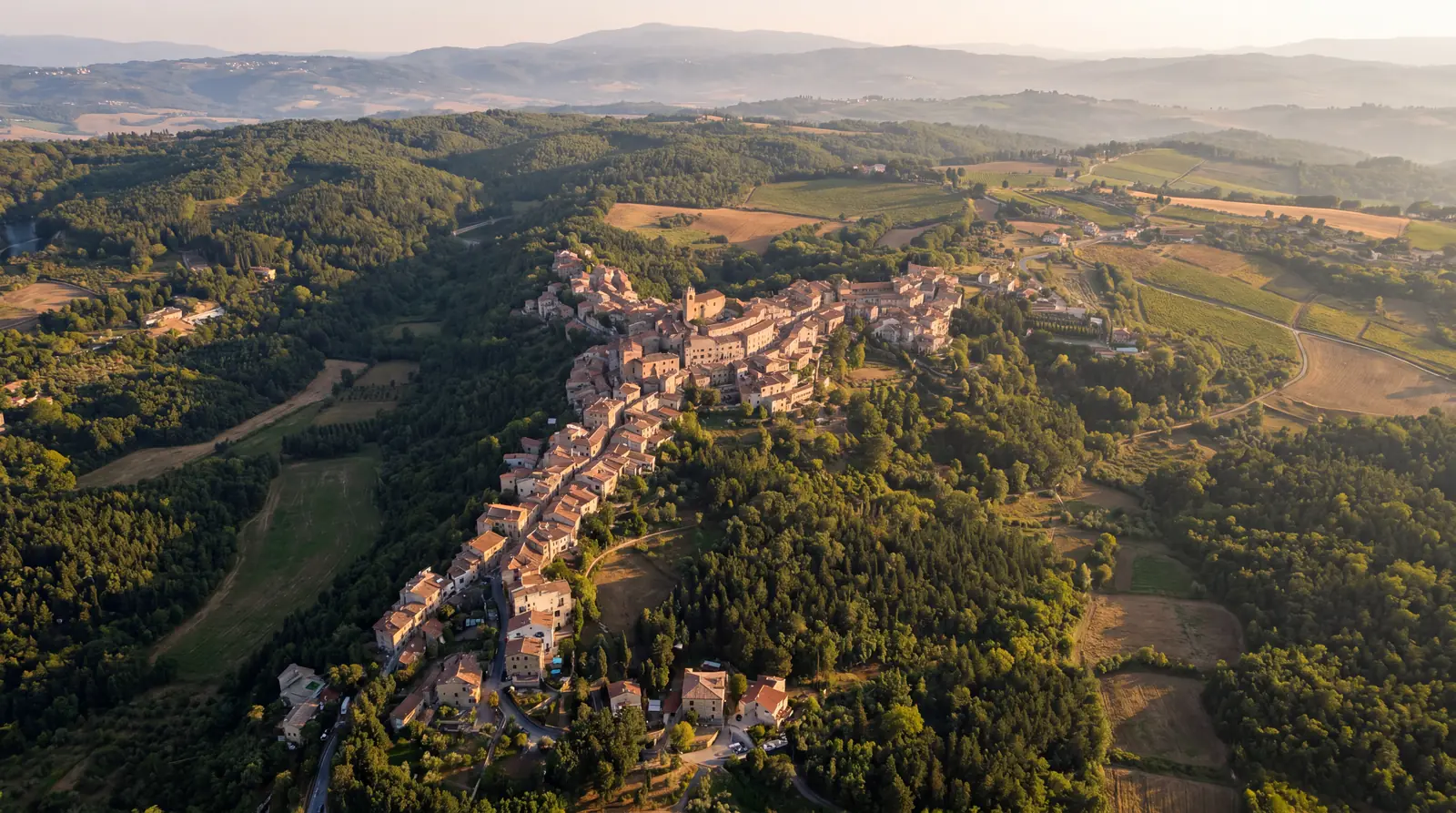 Crinali e filari — Il Boscheto