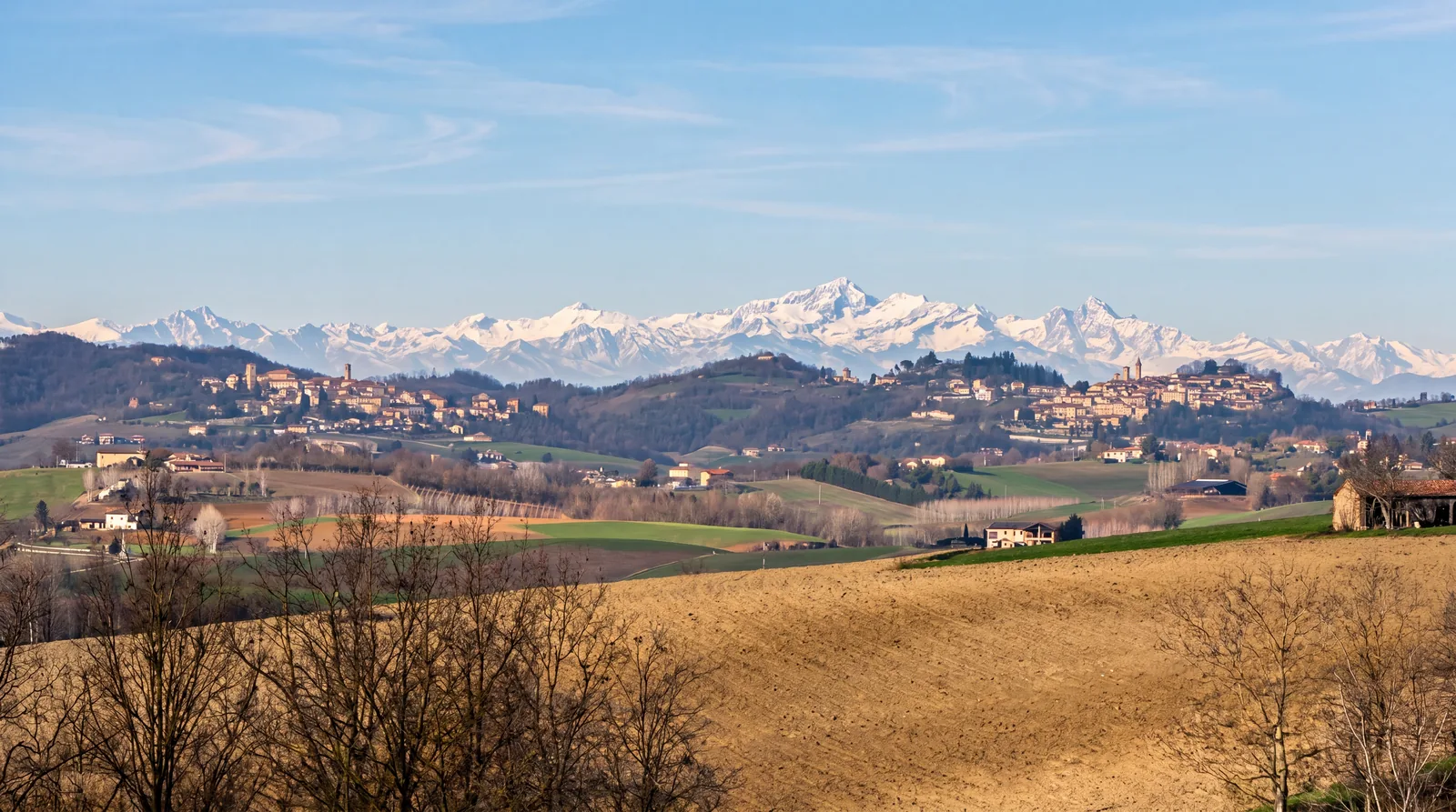 Le Alpi all’orizzonte — Il Boscheto