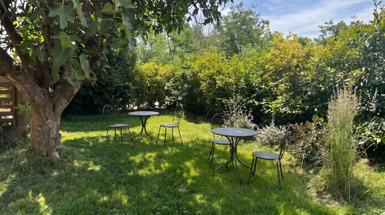 Il giardino con i tavolini all'ombra del fico