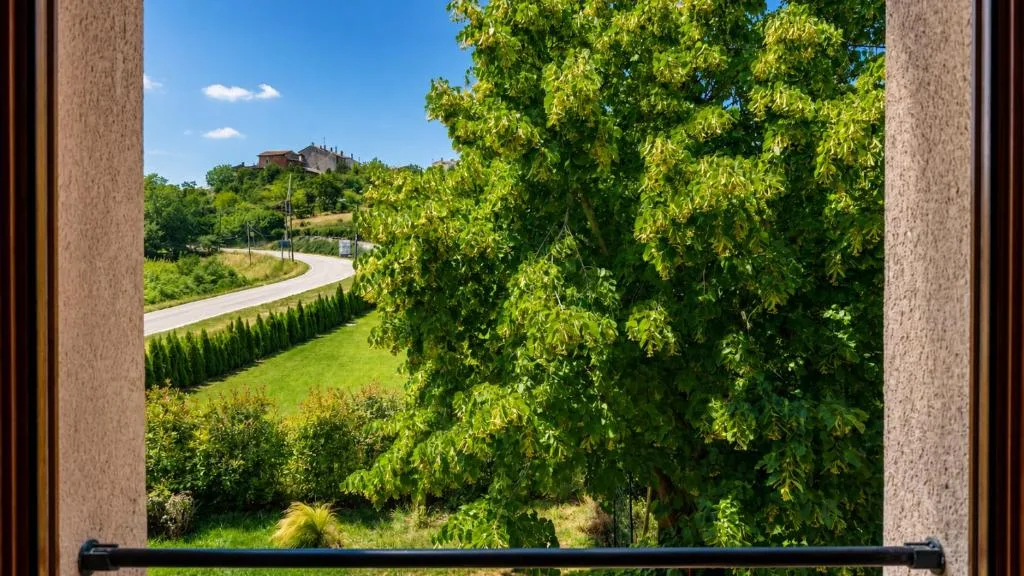 Il verde intorno alla casa — Il Boscheto